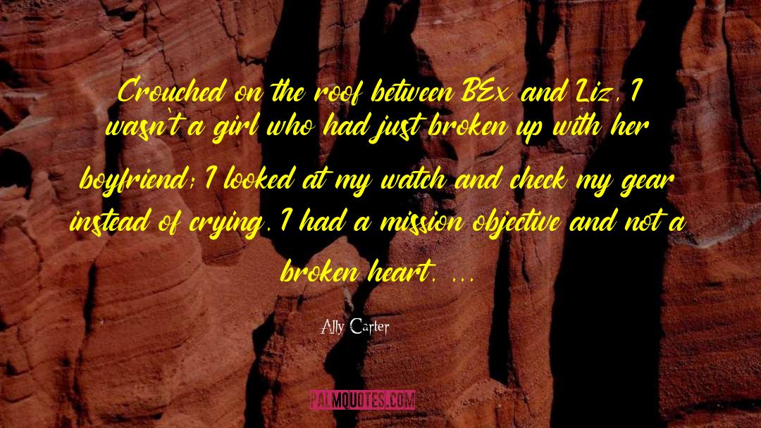Fixing A Broken Girl quotes by Ally Carter
