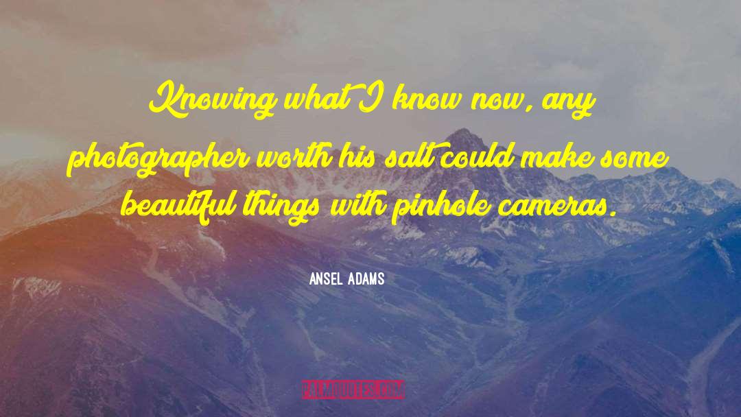 Fixing Things quotes by Ansel Adams