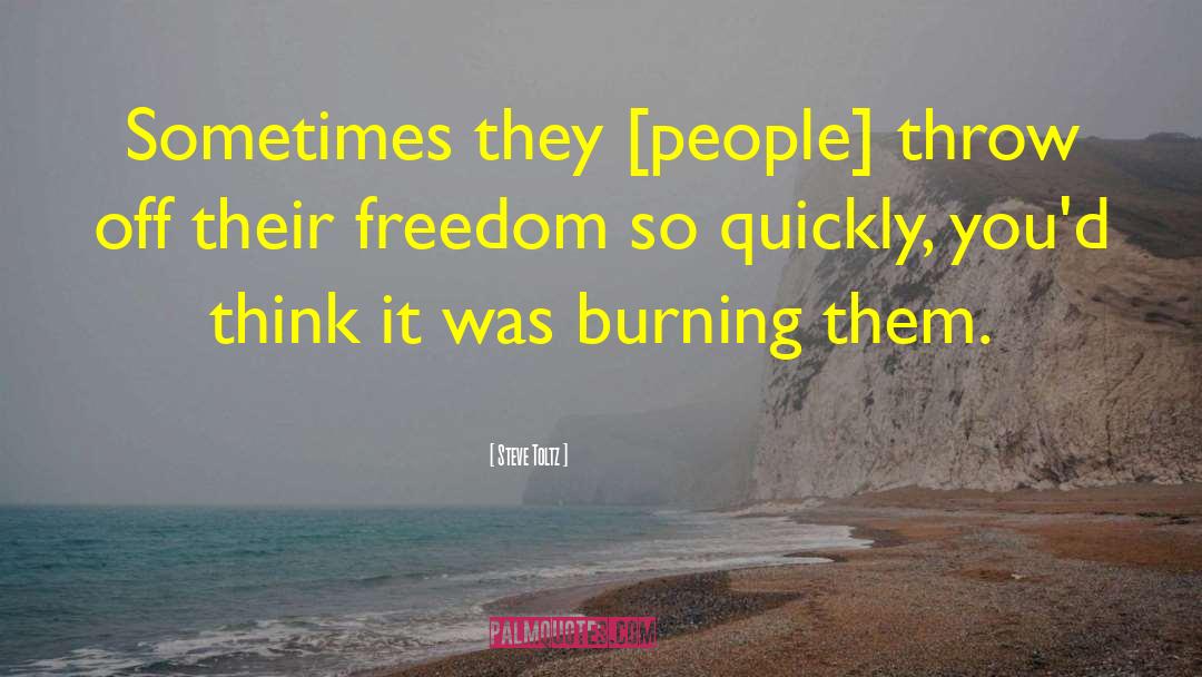 Flag Burning quotes by Steve Toltz