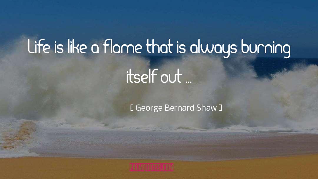 Flag Burning quotes by George Bernard Shaw