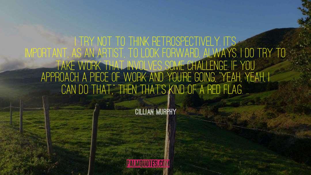 Flags quotes by Cillian Murphy