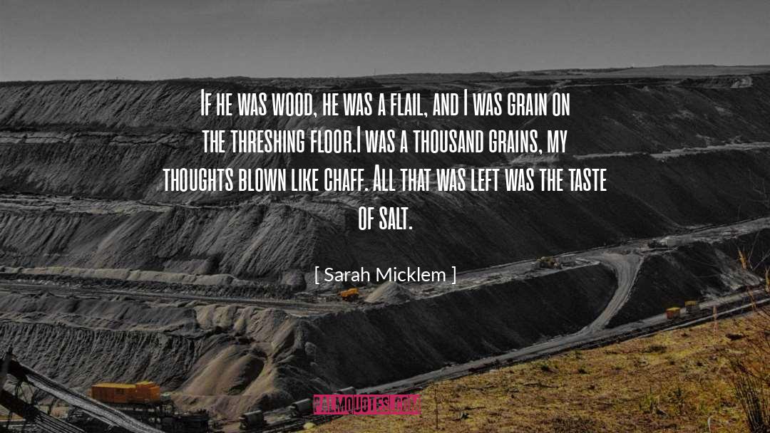 Flail quotes by Sarah Micklem