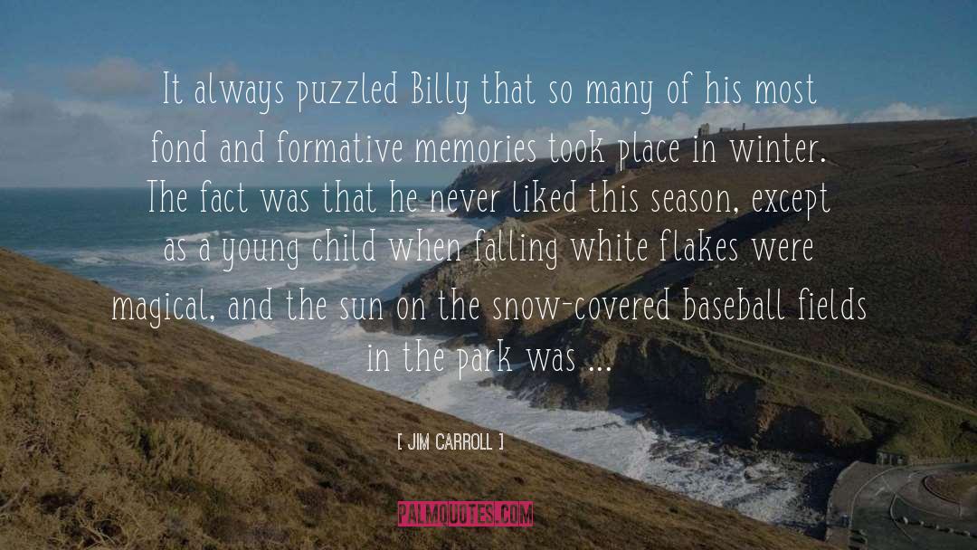 Flakes quotes by Jim Carroll
