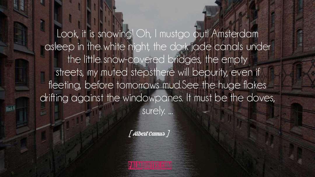 Flakes quotes by Albert Camus