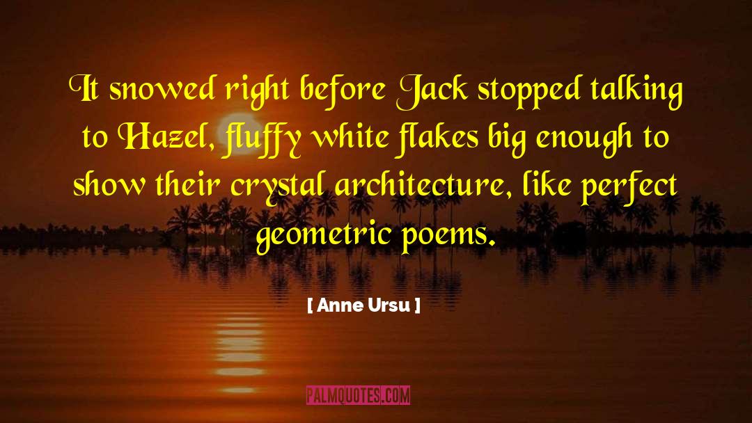 Flakes quotes by Anne Ursu
