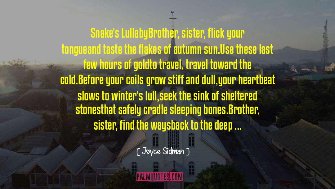 Flakes quotes by Joyce Sidman