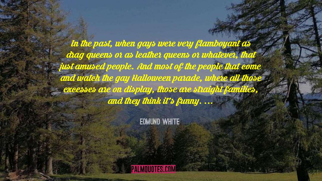 Flamboyant quotes by Edmund White