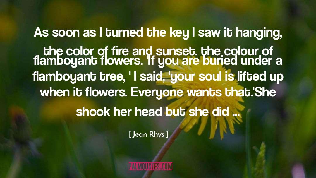 Flamboyant quotes by Jean Rhys