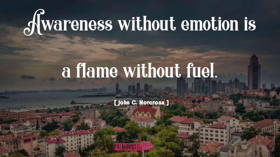 Flame Throwers quotes by John C. Norcross