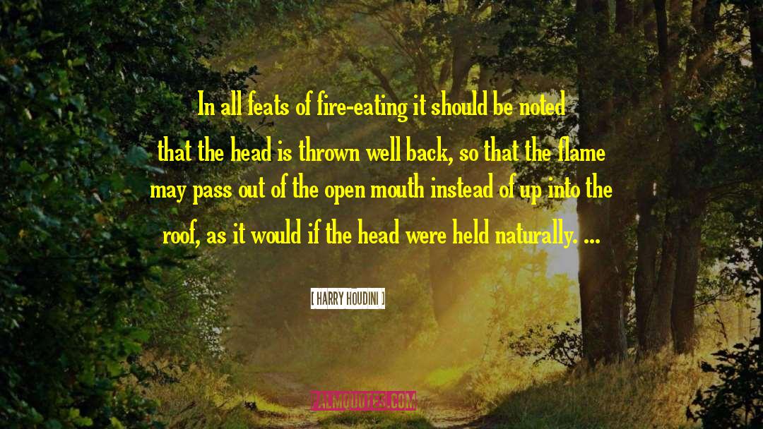Flame Throwers quotes by Harry Houdini