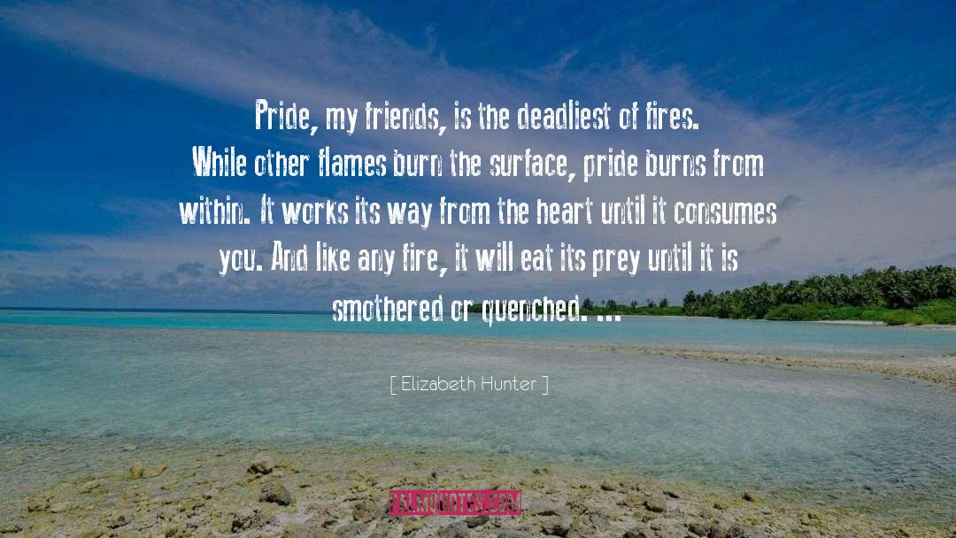 Flames quotes by Elizabeth Hunter