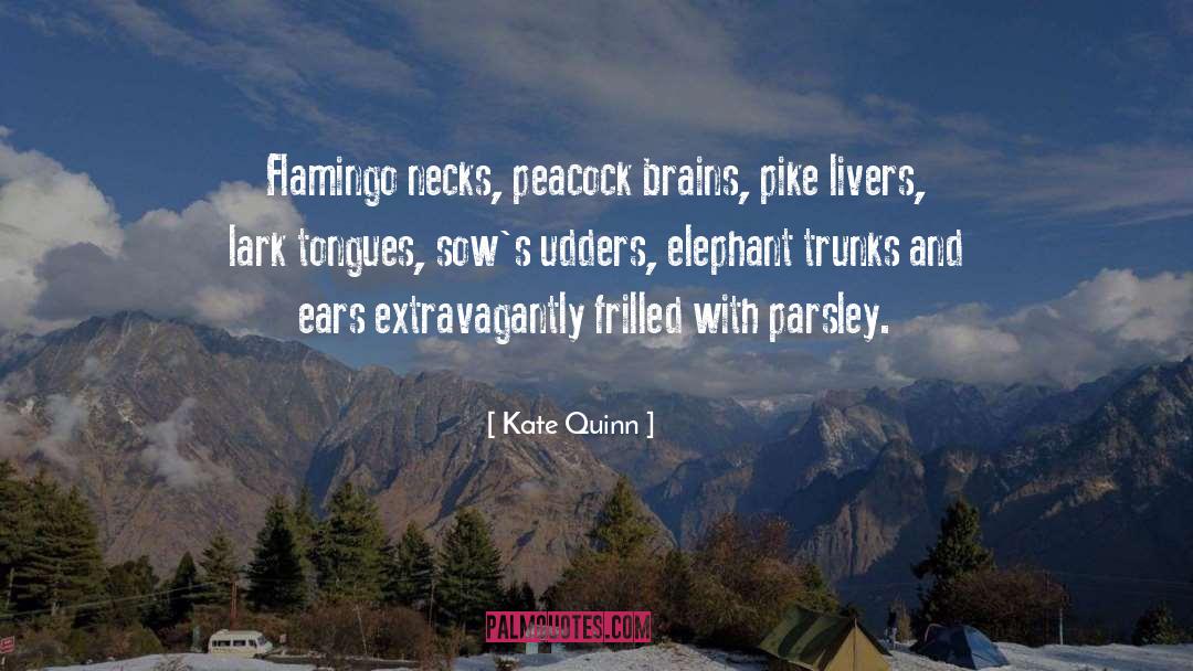 Flamingo quotes by Kate Quinn
