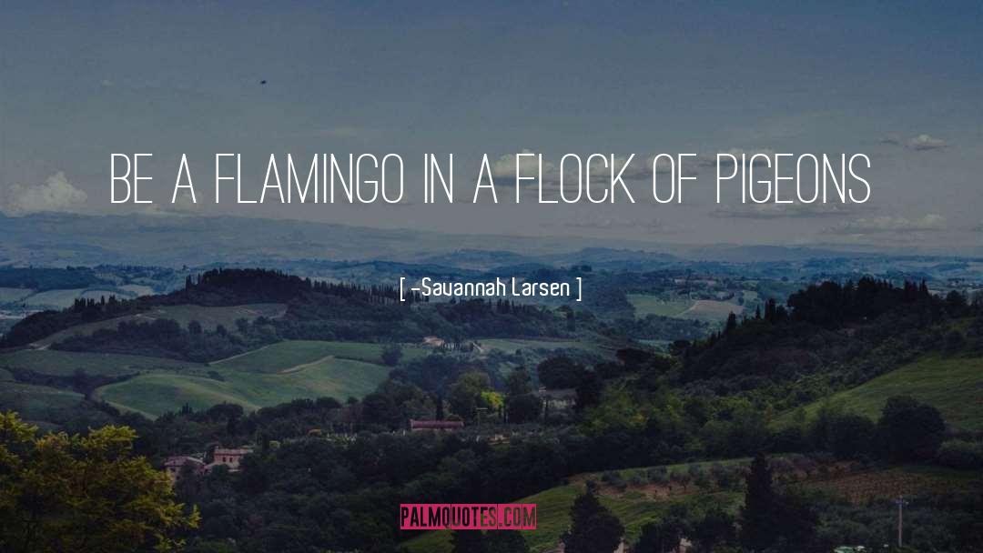 Flamingo quotes by -Savannah Larsen