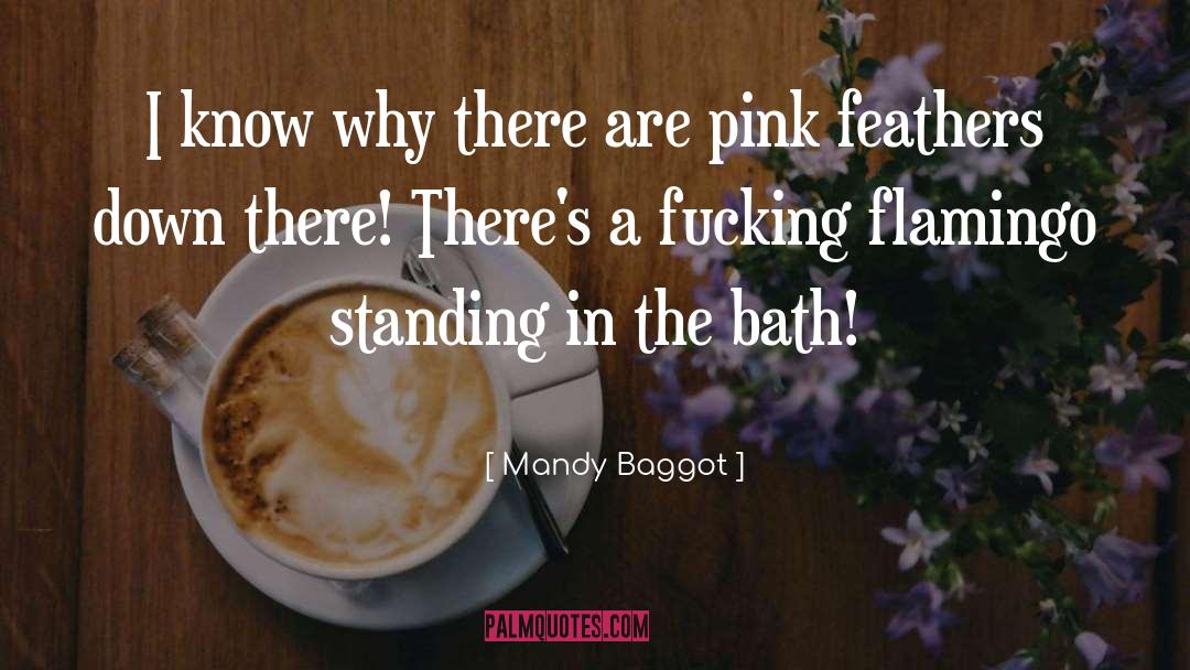 Flamingo quotes by Mandy Baggot