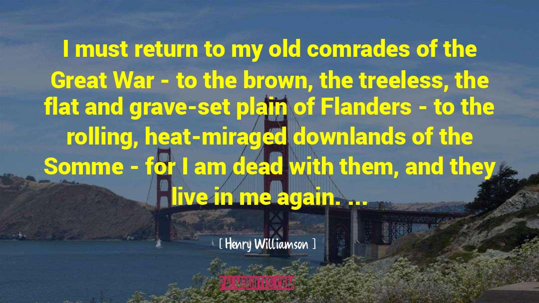 Flanders Now quotes by Henry Williamson