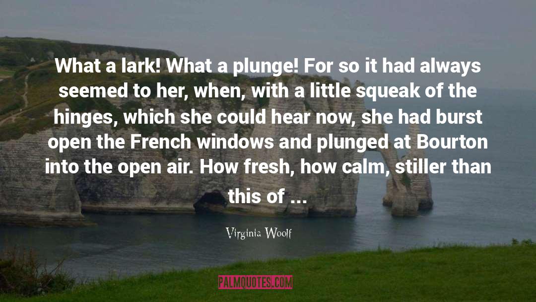 Flap quotes by Virginia Woolf