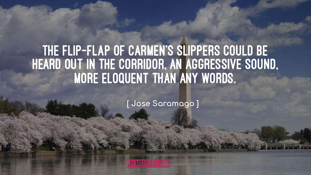 Flap quotes by Jose Saramago