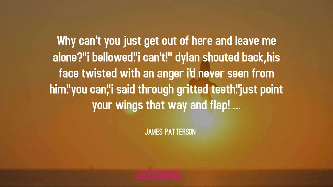 Flap quotes by James Patterson