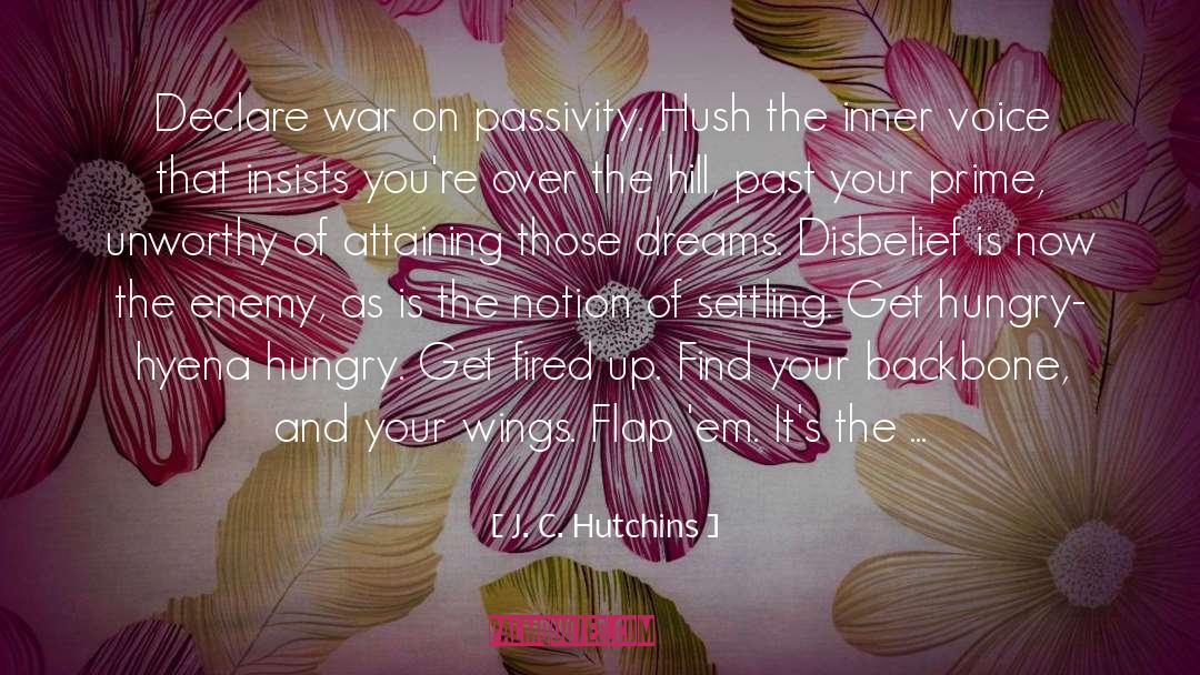 Flap quotes by J. C. Hutchins