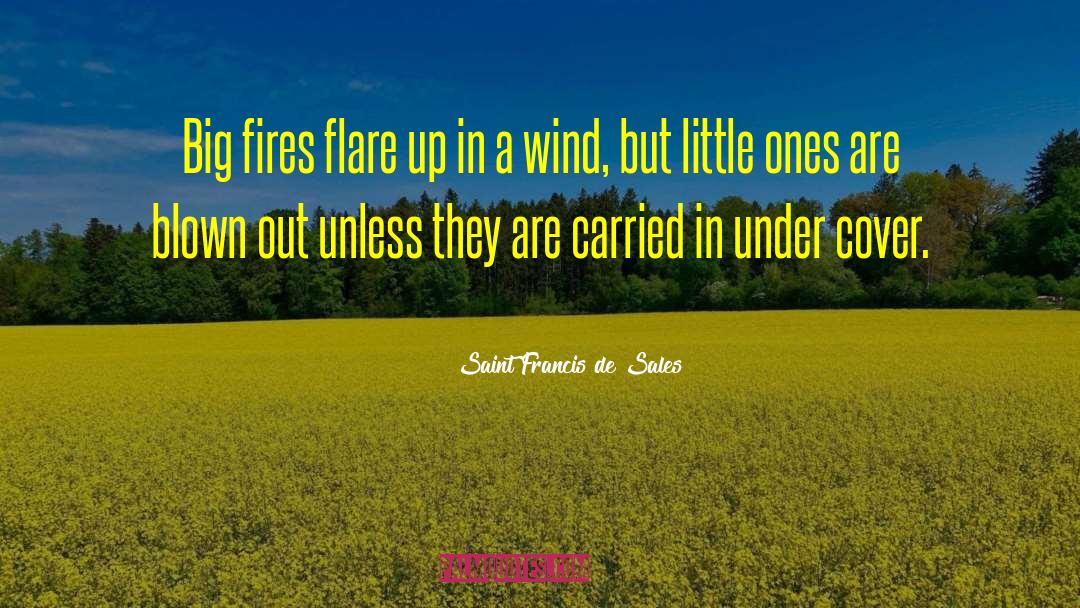 Flare Up quotes by Saint Francis De Sales