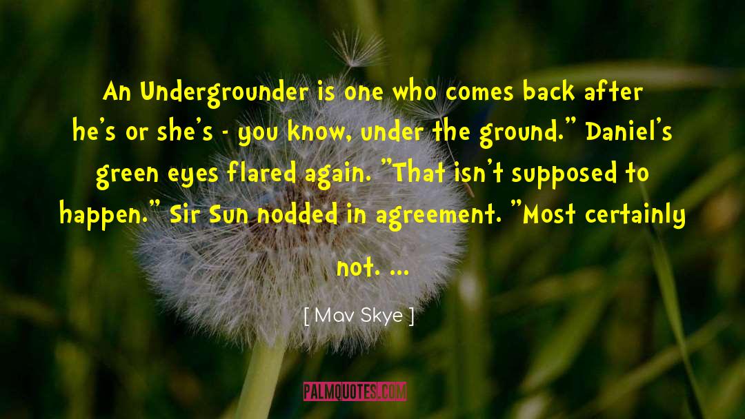 Flared Skirt quotes by Mav Skye