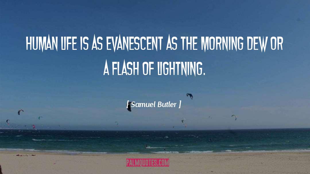 Flash Backs quotes by Samuel Butler