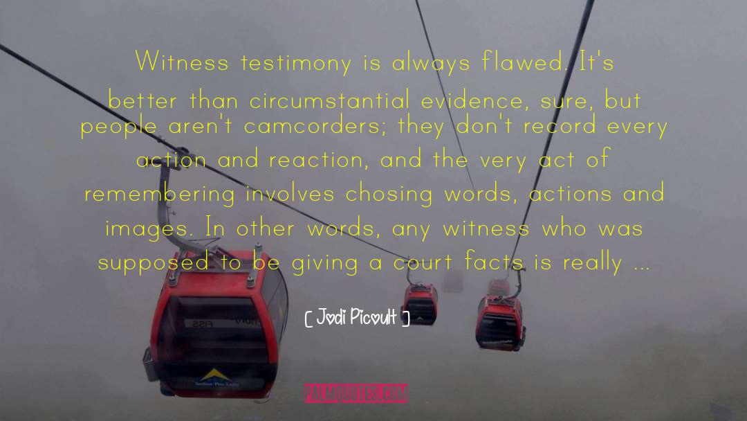 Flash Fiction quotes by Jodi Picoult