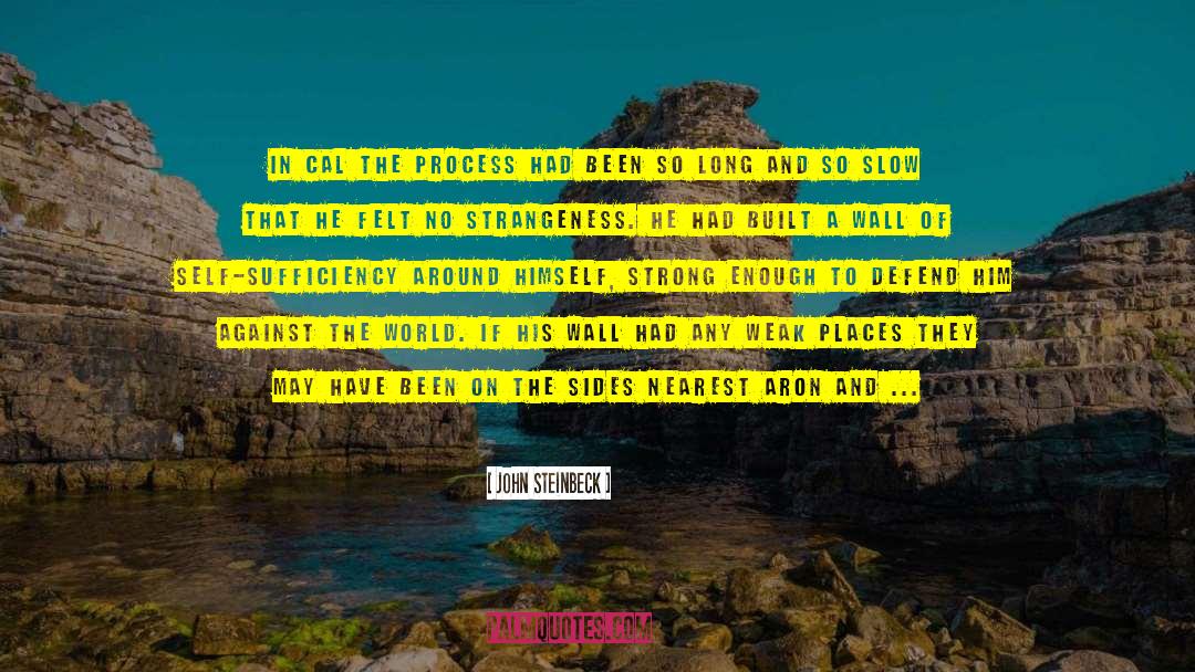 Flash Flood quotes by John Steinbeck