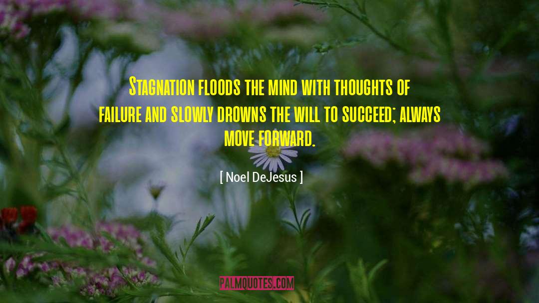 Flash Floods quotes by Noel DeJesus