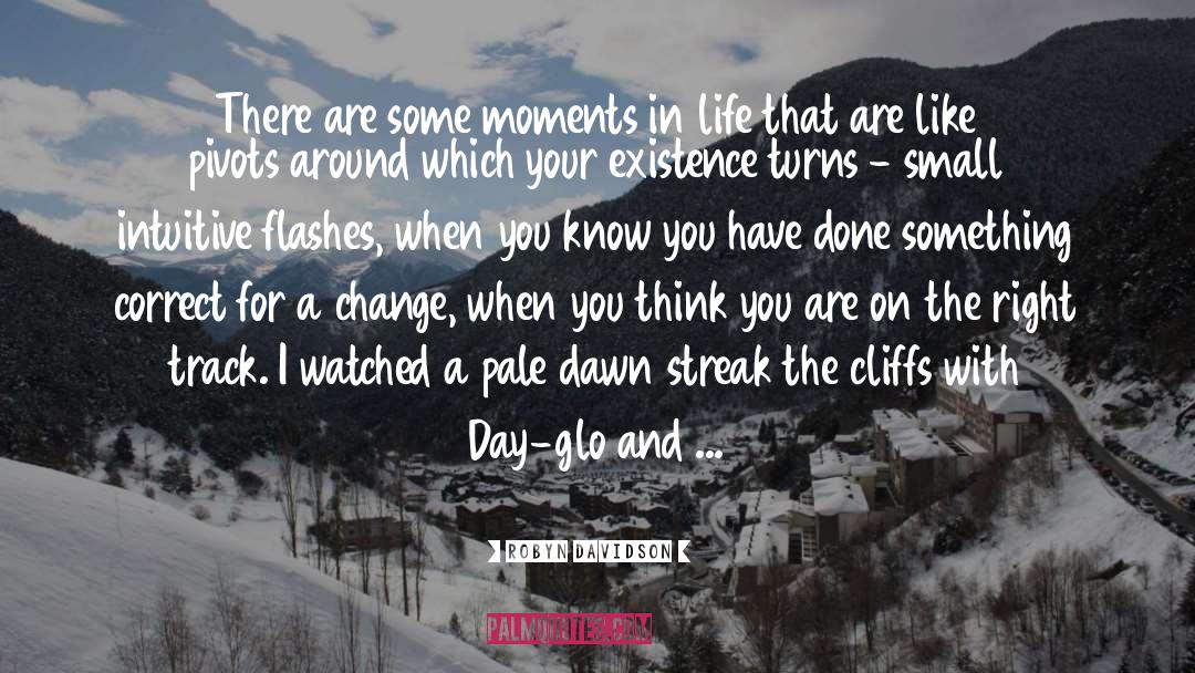 Flashes quotes by Robyn Davidson