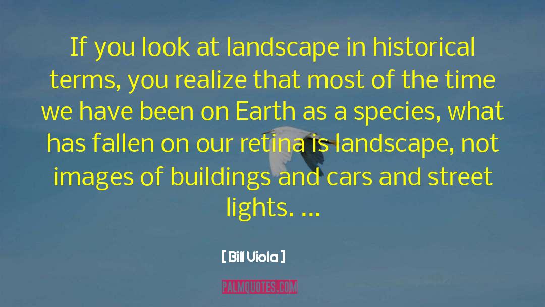 Flashing Lights quotes by Bill Viola