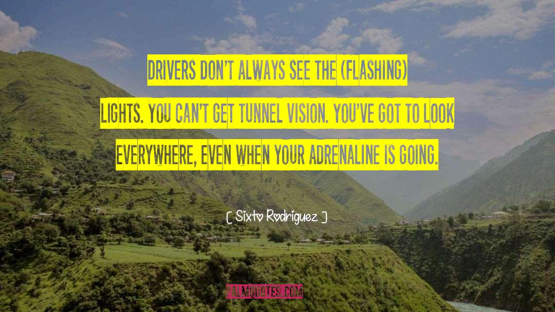 Flashing Lights quotes by Sixto Rodriguez