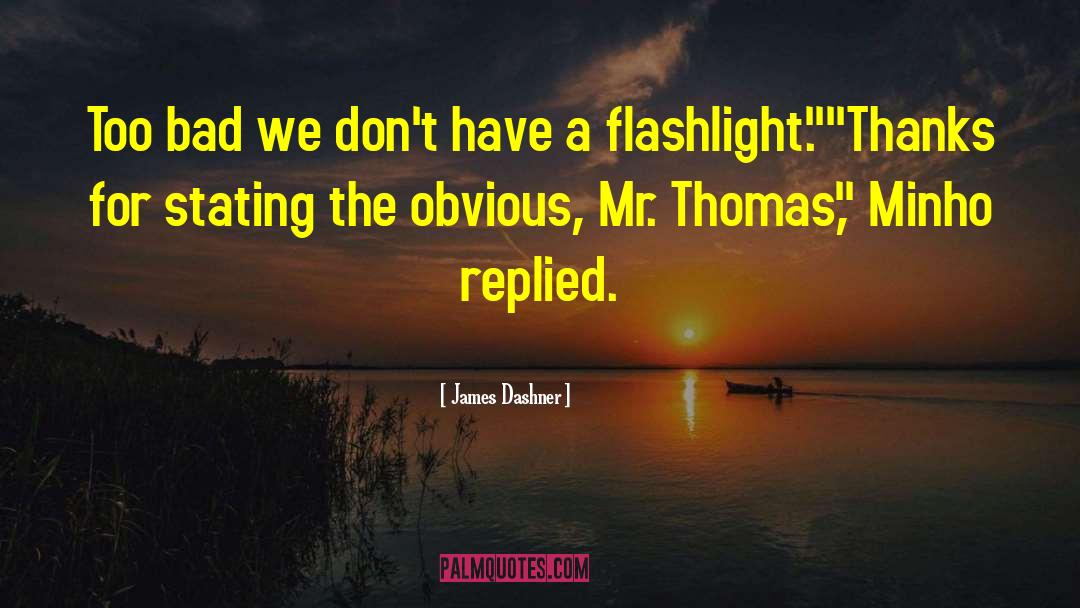Flashlight quotes by James Dashner