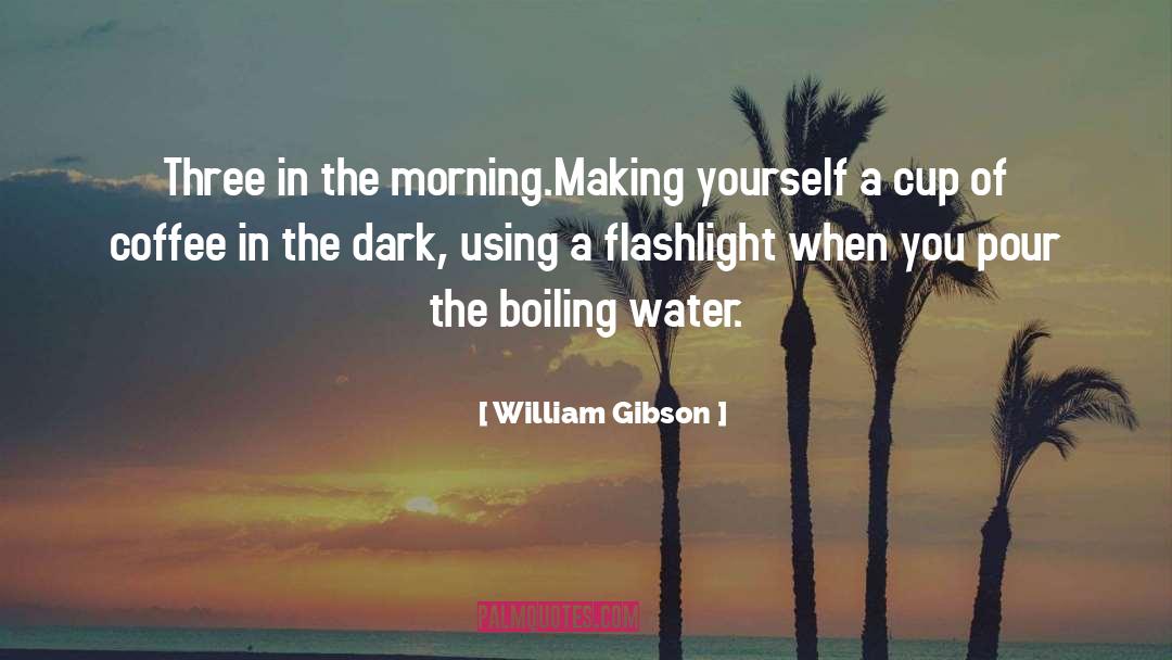Flashlight quotes by William Gibson