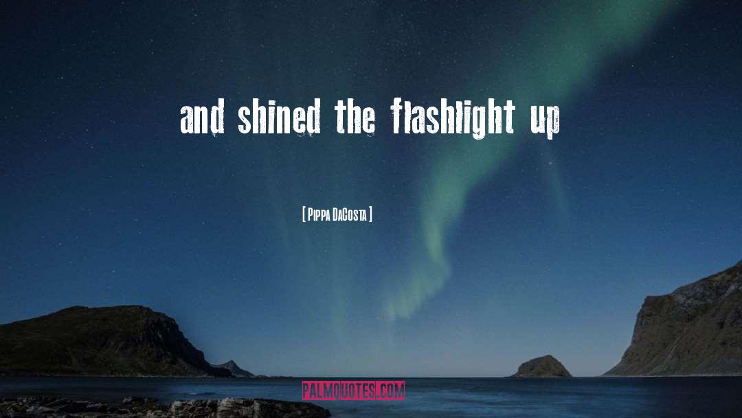 Flashlight quotes by Pippa DaCosta