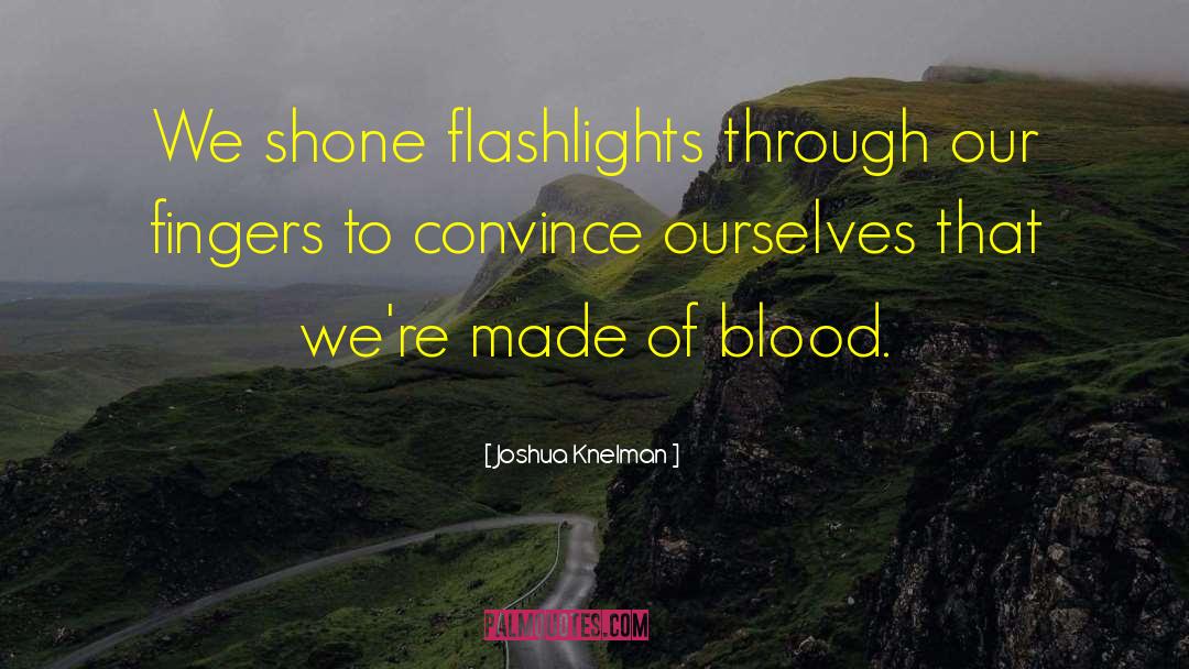 Flashlights quotes by Joshua Knelman