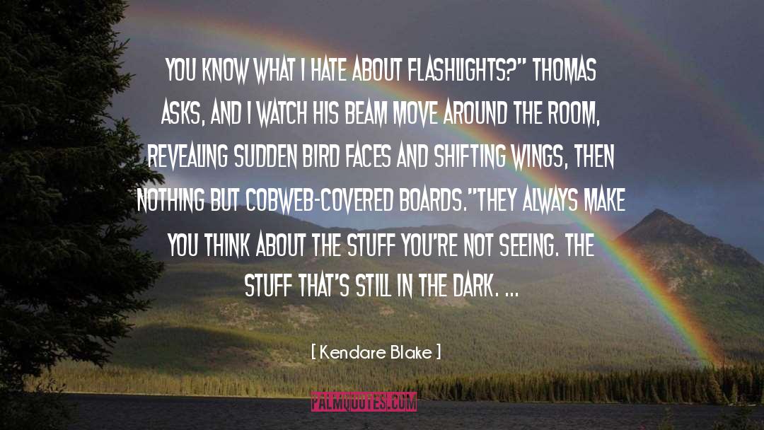 Flashlights quotes by Kendare Blake