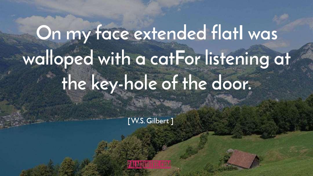 Flat Face quotes by W.S. Gilbert