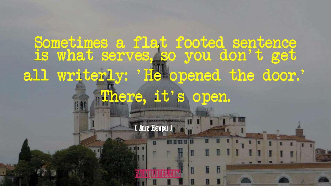 Flat Footed Boobies quotes by Amy Hempel