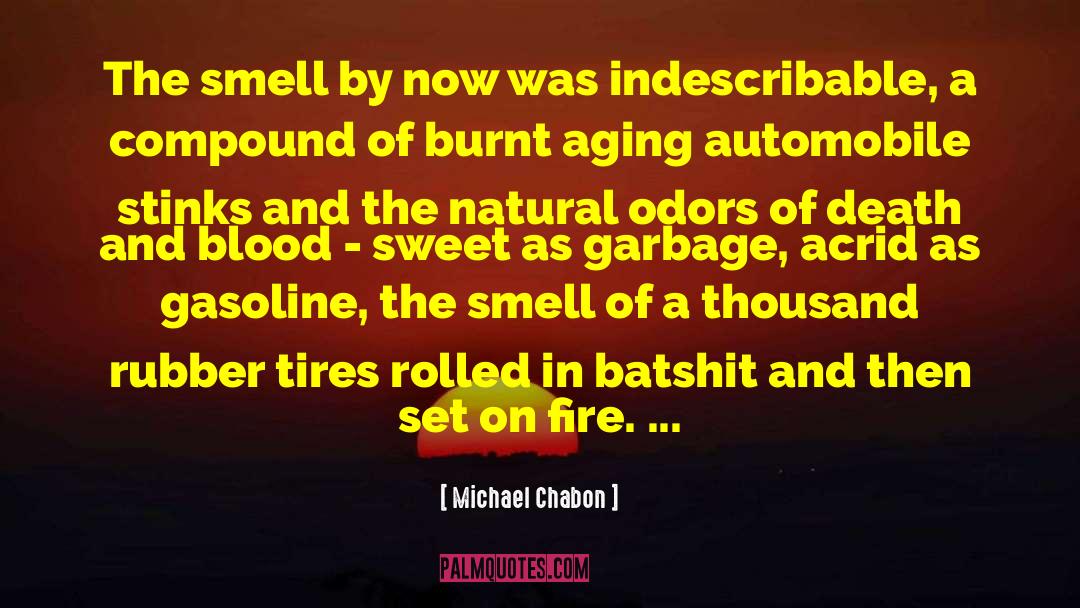 Flat Tires quotes by Michael Chabon