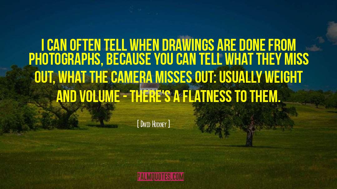 Flatness quotes by David Hockney