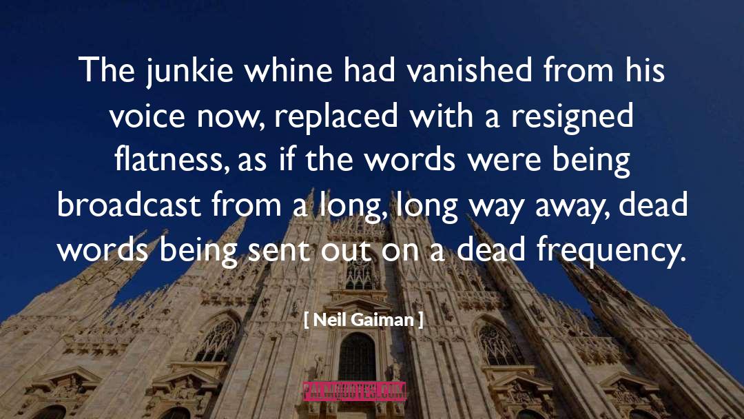 Flatness quotes by Neil Gaiman