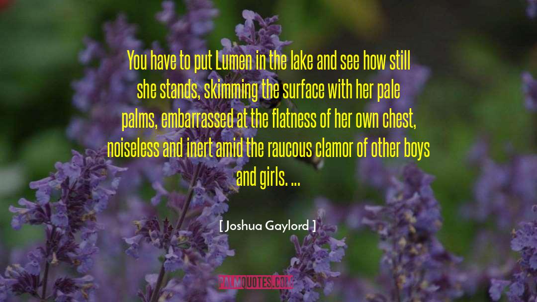 Flatness quotes by Joshua Gaylord