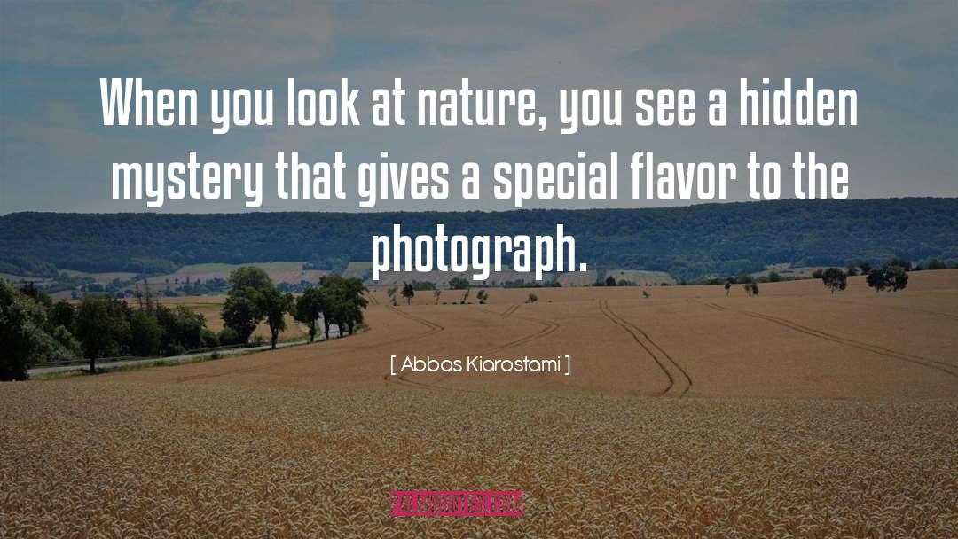 Flavor Flav quotes by Abbas Kiarostami