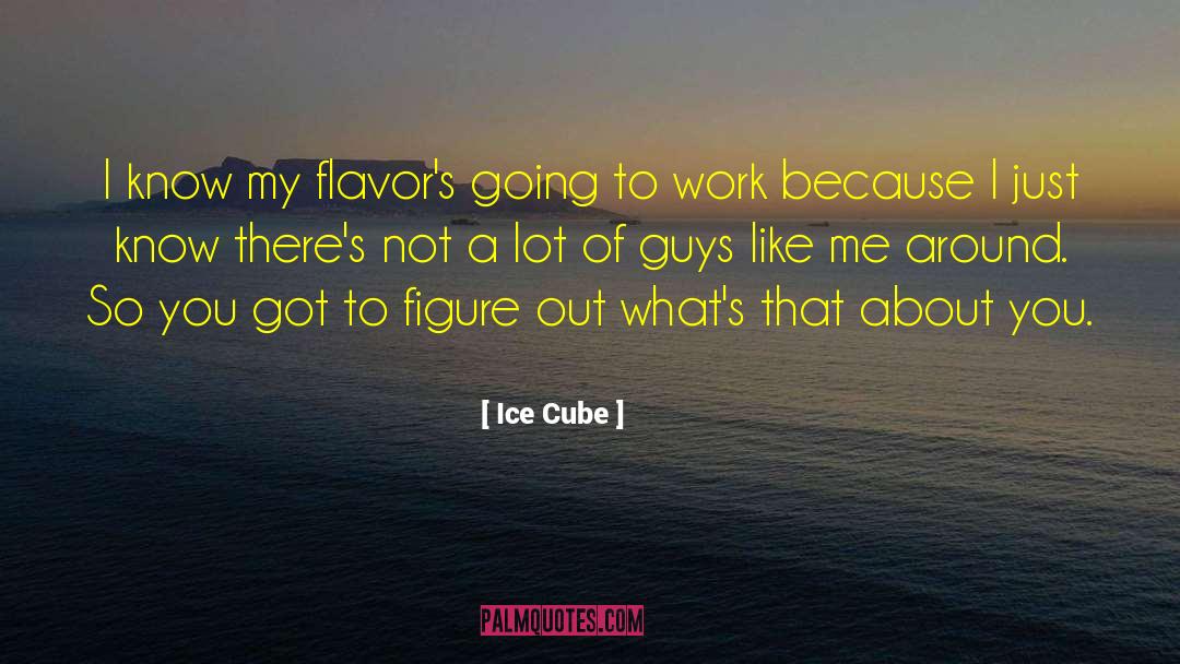 Flavor Of Ice Cream quotes by Ice Cube