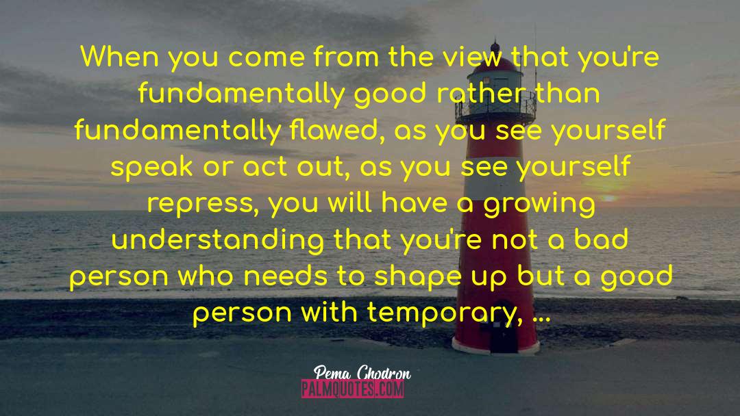 Flawed And Fabulous quotes by Pema Chodron