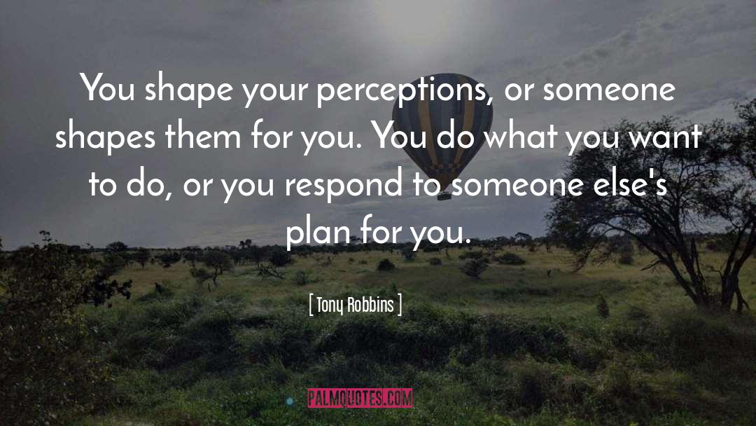 Flawed Plans quotes by Tony Robbins