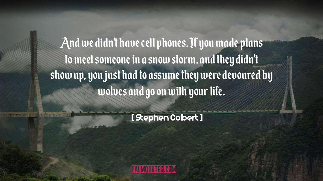 Flawed Plans quotes by Stephen Colbert
