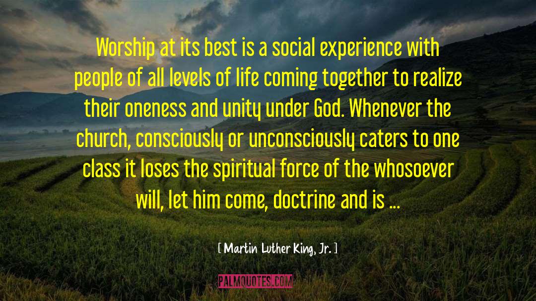 Flawed Socialist Doctrine quotes by Martin Luther King, Jr.