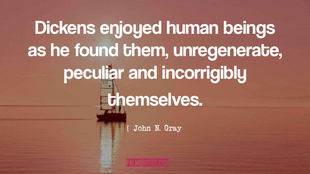 Flaws And Weaknesses quotes by John N. Gray